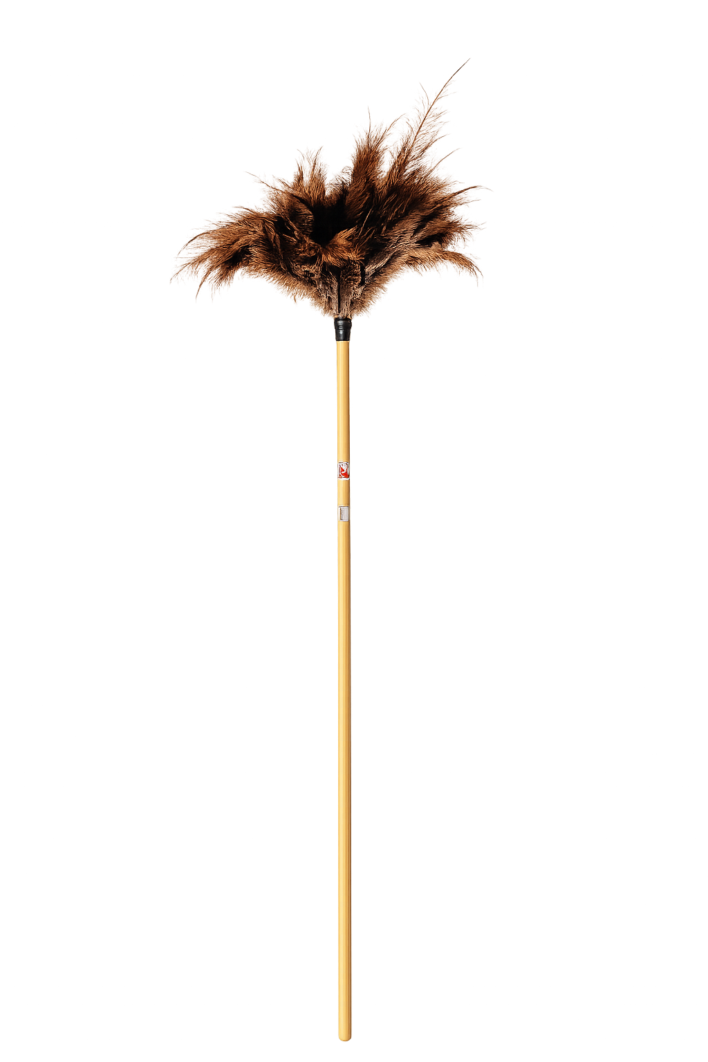 Mr Bristle Long Feather Duster Zimbabwe