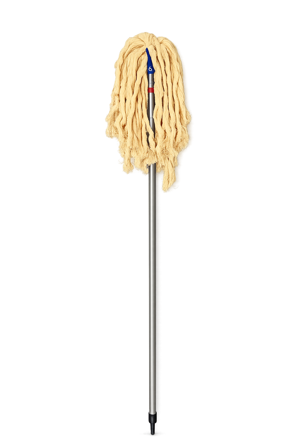 Mr Bristle Large Mop Zimbabwe